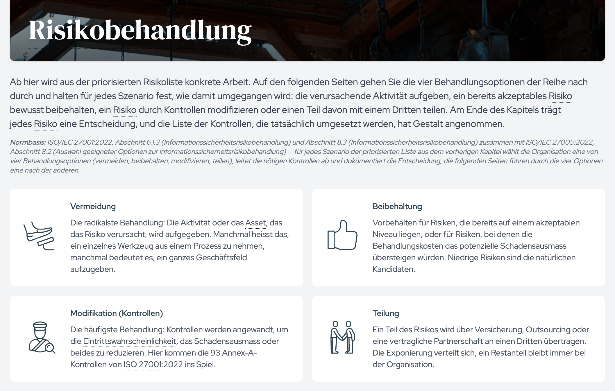 Die Einstiegsseite zeigt die vier Behandlungsoptionen Vermeidung, Beibehaltung, Modifikation und Teilung.